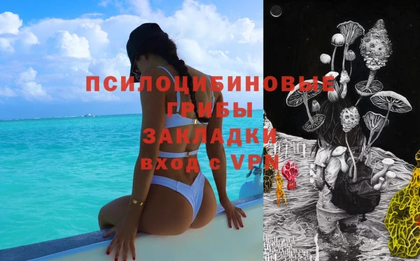 стафф Дмитровск