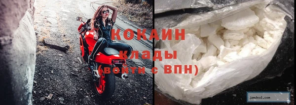 стафф Дмитровск