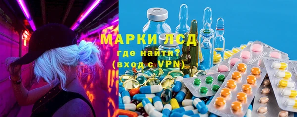 стафф Дмитровск