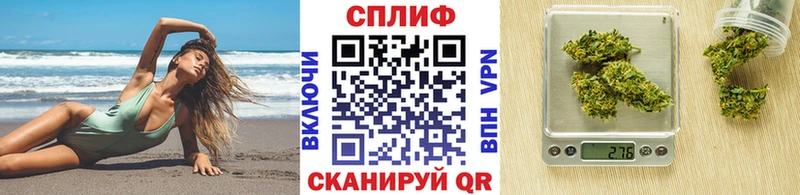 Бошки Шишки конопля Ессентукская